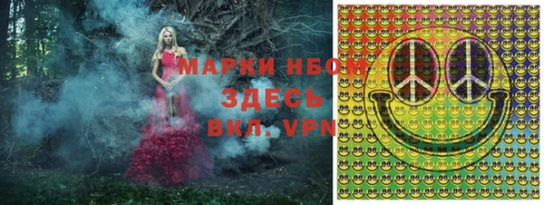 стаф Балахна